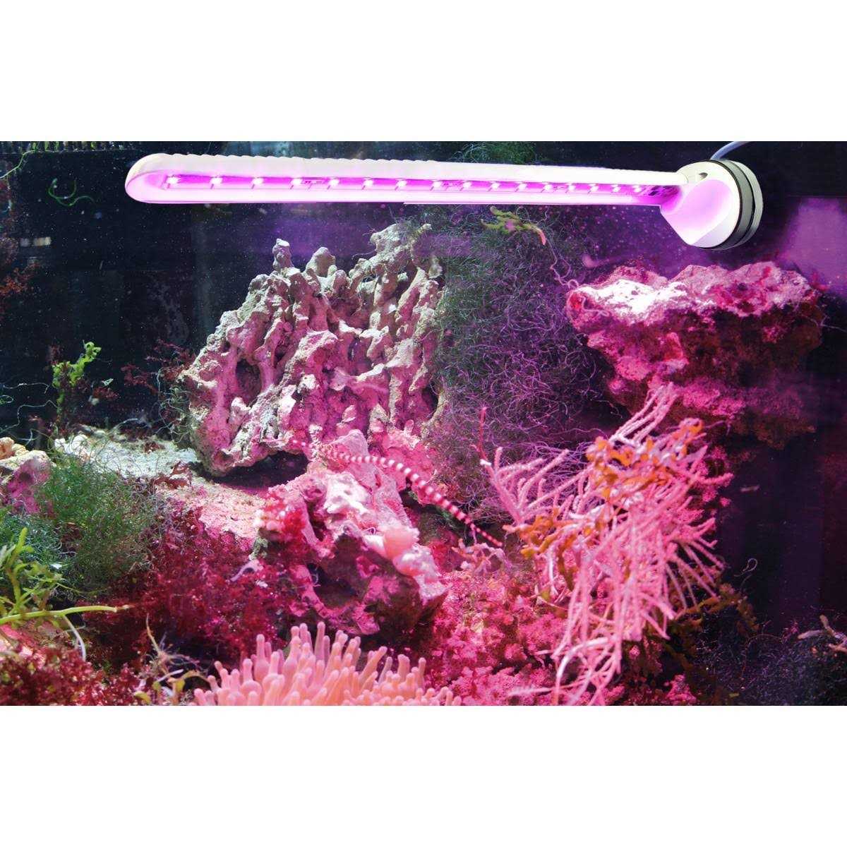 Refugium LED Light V427