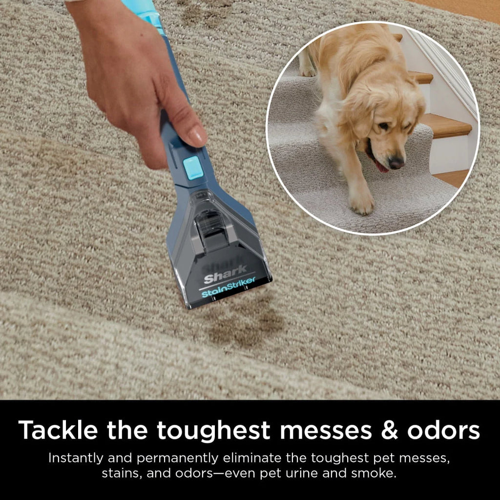 Portable Carpet & Upholstery Cleaner D798