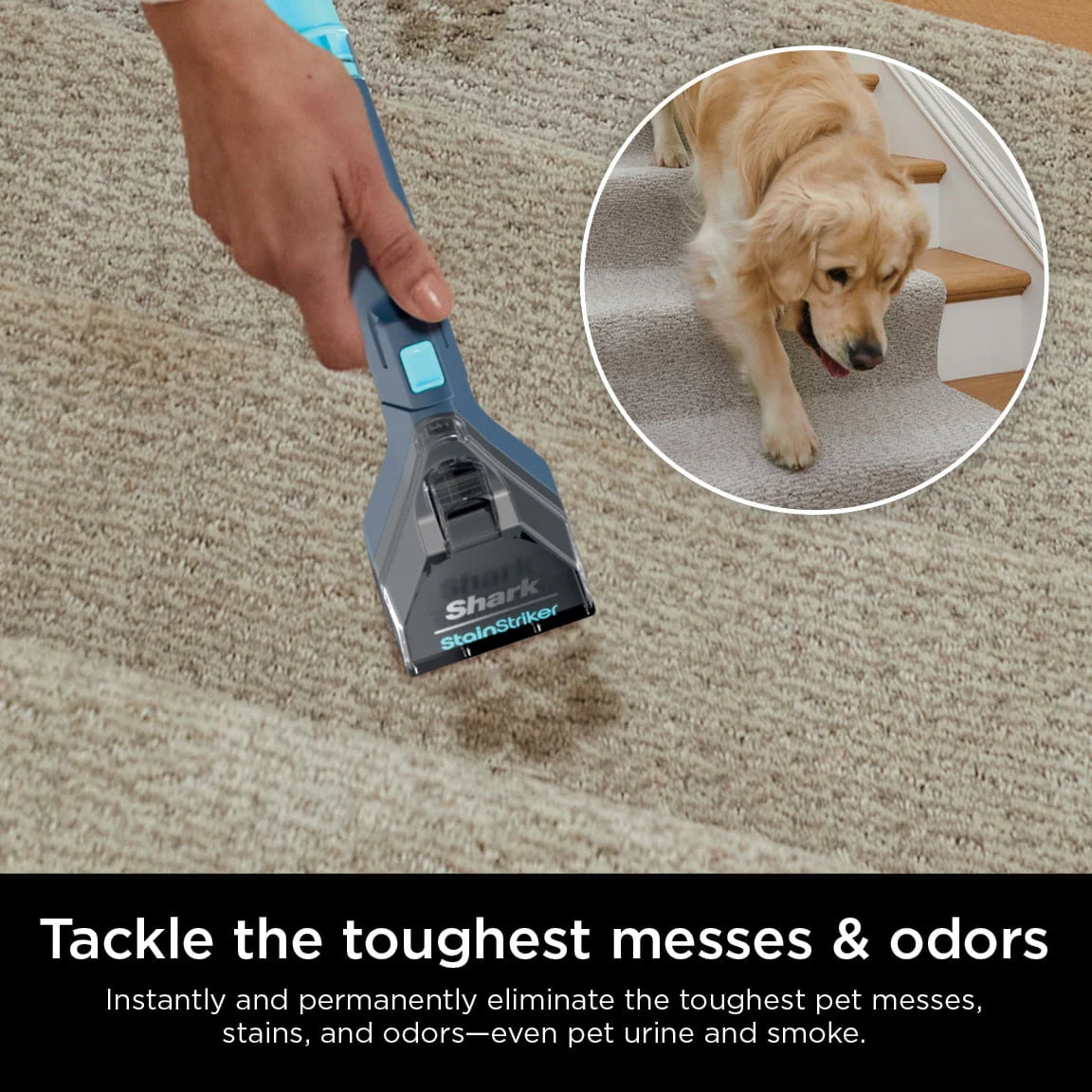 Portable Carpet & Upholstery Cleaner D798